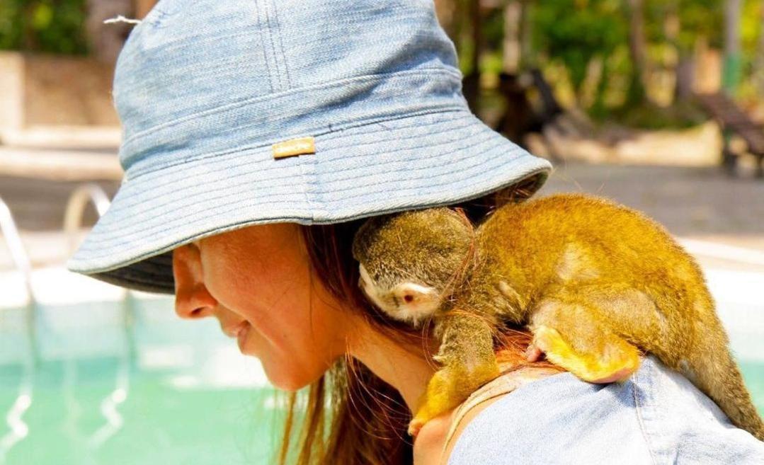 Hotel Karupa Amazonas レティシア エクステリア 写真