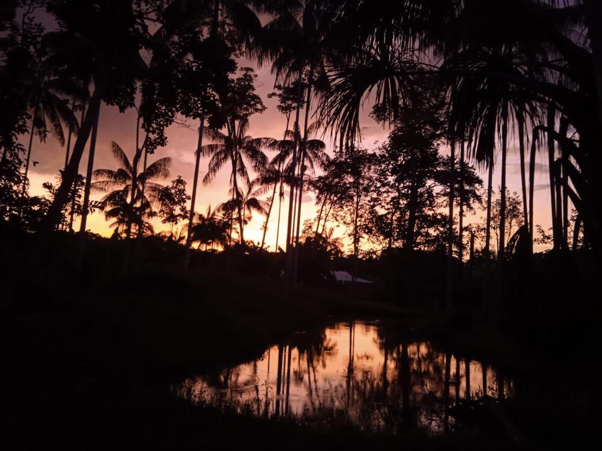 Hotel Karupa Amazonas レティシア エクステリア 写真
